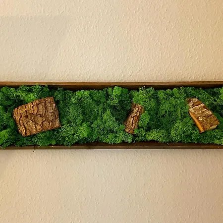 Stanma - Naturpartments Am Fluss Mit Sauna Und Bergblick Lejlighed Braunlage