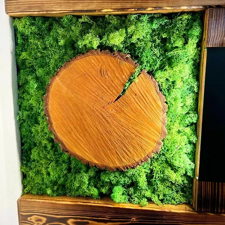 Stanma - Naturpartments Am Fluss Mit Sauna Und Bergblick Apartment