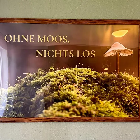 Stanma - Naturpartments Am Fluss Mit Sauna Und Bergblick * Braunlage