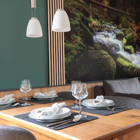 Stanma - Naturpartments Am Fluss Mit Sauna Und Bergblick * Braunlage