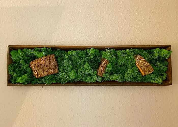 Stanma - Naturpartments Am Fluss Mit Sauna Und Bergblick 公寓 布劳恩拉格