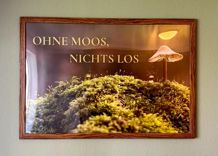 Stanma - Naturpartments Am Fluss Mit Sauna Und Bergblick * 布劳恩拉格